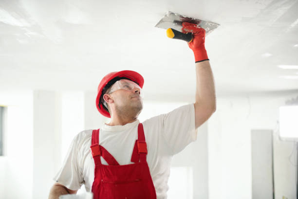  , USA Mold Removal Pros